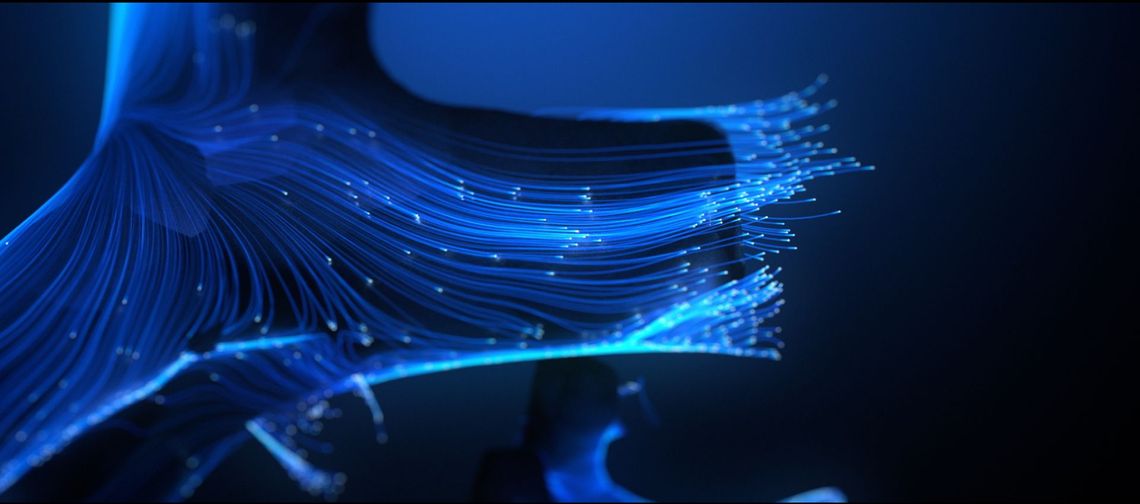 Data valorization
