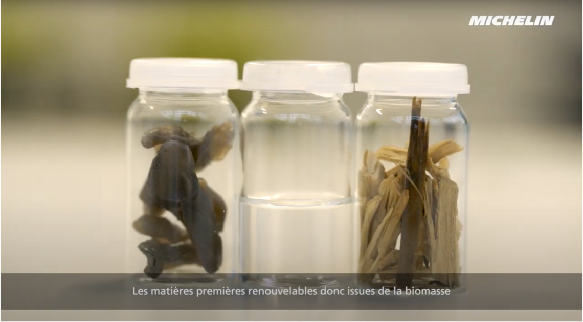 biodiversity respect preview