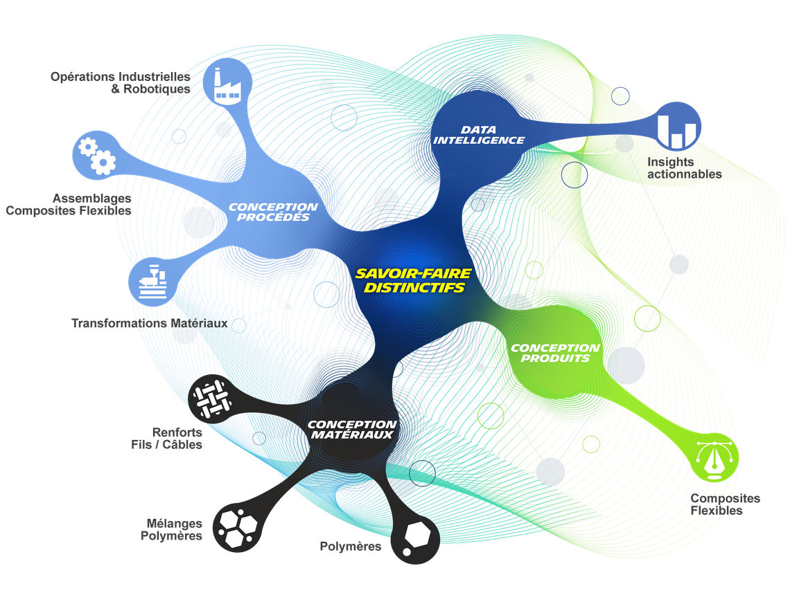savoirfairedistinctif infographie