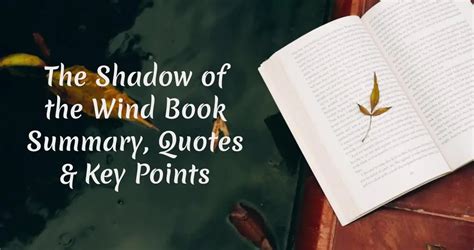  The Shadow of the Wind: Un romanzo tedesco avvincente che ti trascinerà attraverso i meandri della memoria!